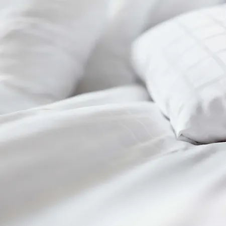 Scandic (adults Only) Hotel