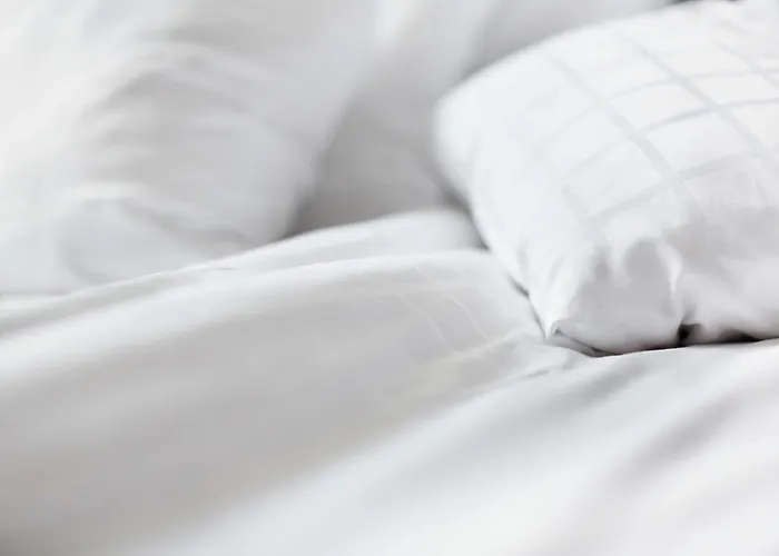 Scandic (adults Only) Hotell